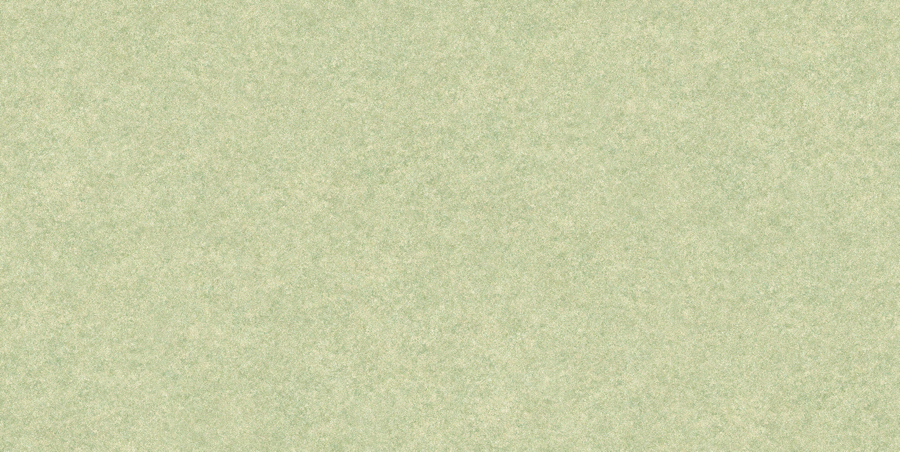 東リ クッションフロアシート CC-CF9699